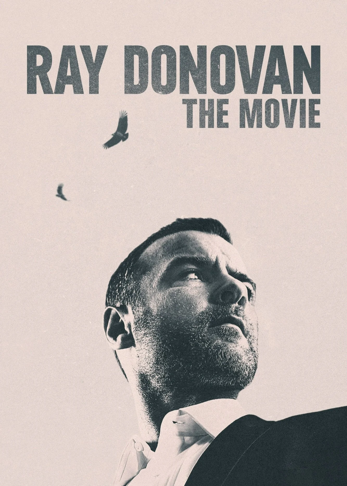 Ray Donovan Finale Ray Donovan Finale 2022