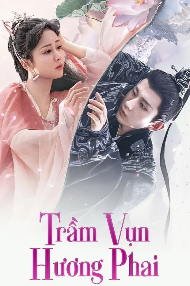 Trầm Vụn Hương Phai 2022